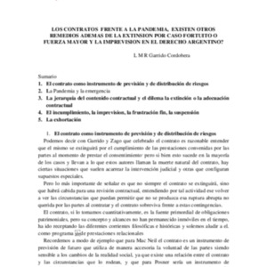 Pandemiaa-y-contratos-01.pdf