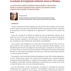 102 doctrina-2024-12-Salcedo-Minero.pdf