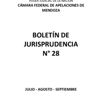Boletin 28 Jurisprudencia CFAM.pdf