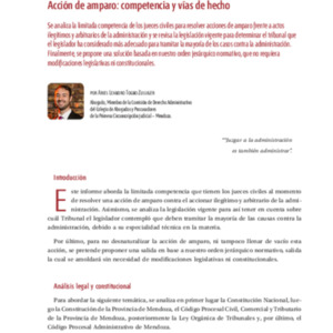 99 doctrina-2024-10-Zulliger-Amparo.pdf