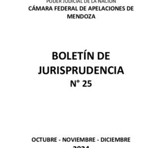 138- BOLETIN JURISPRUDENCIA n° 25  -Oct. Nov. Dic. 2024-  DEFINITIVO.pdf