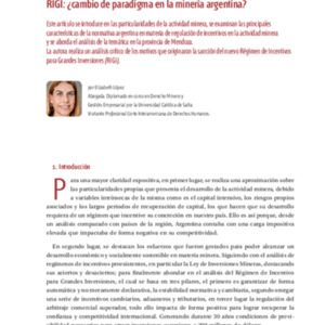 101 doctrina-2024-11-Lopez-RIGI.pdf