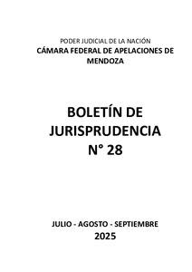 Boletin 28 Jurisprudencia CFAM.pdf